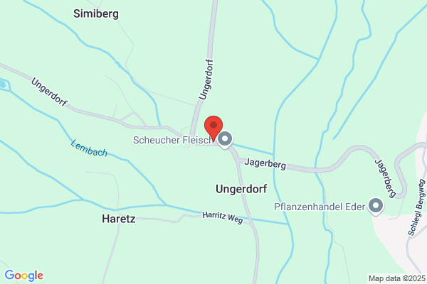 Adolf Lueckl
