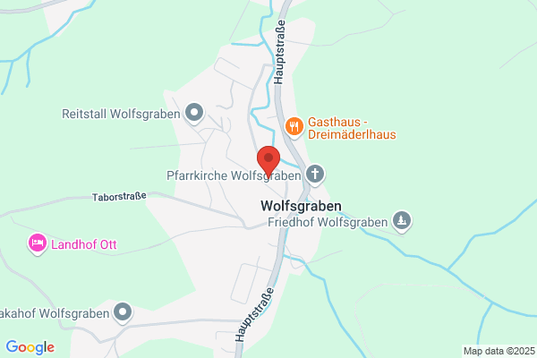 Tierarztpraxis Wolfsgraben Dipl Tzt -Susanne Holzbecher
