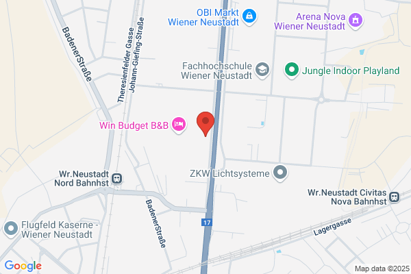 Carglass® Wr. Neustadt