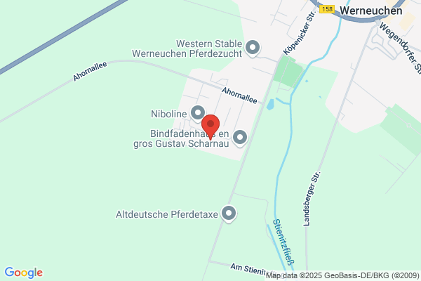 Freizeit HandelsgesmbH
