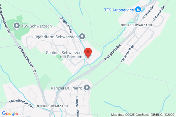 Bezirksforstinspektion