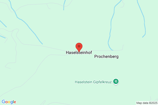 Johann Haselsteiner