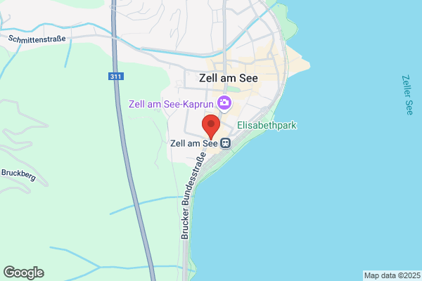Zebra Die Fahrschule