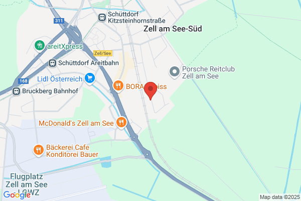 Blue Chip Software GmbH