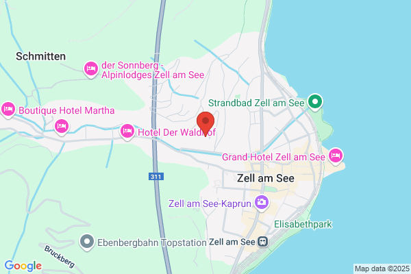 Sozialdemokratische Partei Oesterreichs