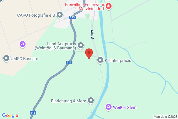 Riesenhuber