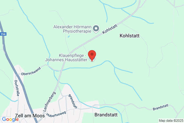 Klauenpflege - Johannes Hausstätter