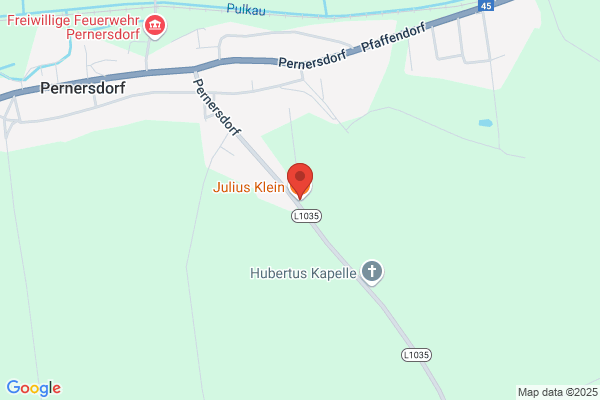 Julius Klein