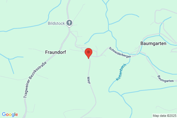 Friederike Bachtrog