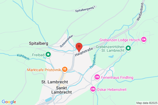 PI Wlattnig GmbH