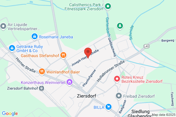 Beninger und Plessl GesmbH