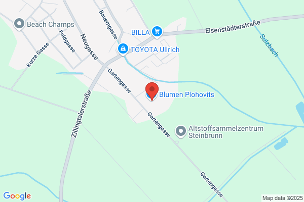 Blumen Plohovits