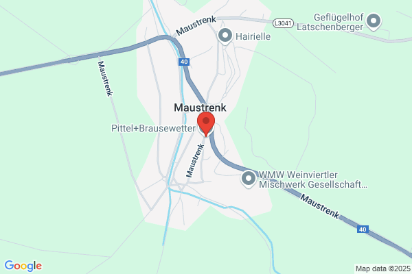 Pittel und Brausewetter GesmbH