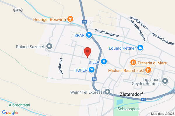 SV Die Erste Zistersdorf Wolfgang Eigner
