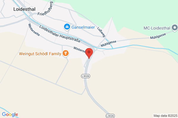 H und B Schoedl