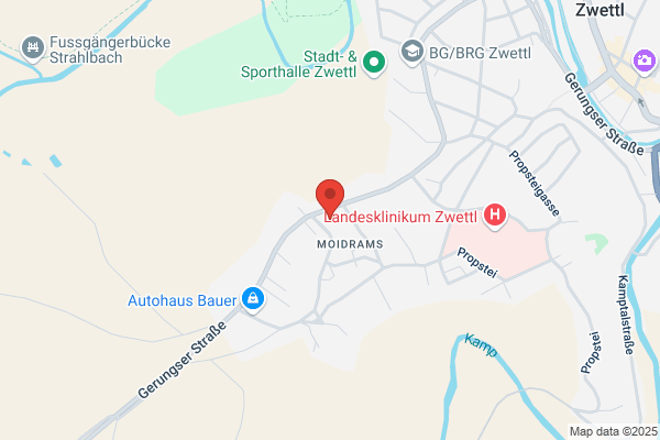 Bergwirt Schrammel GmbH