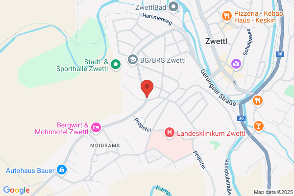 Scheidl Elisabeth Dipl-Log