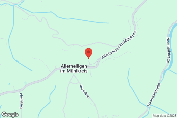 Steiner Gerald Dr - Familienaufstellung