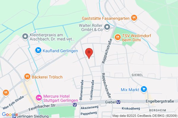 CS Consulting und Trading GmbH