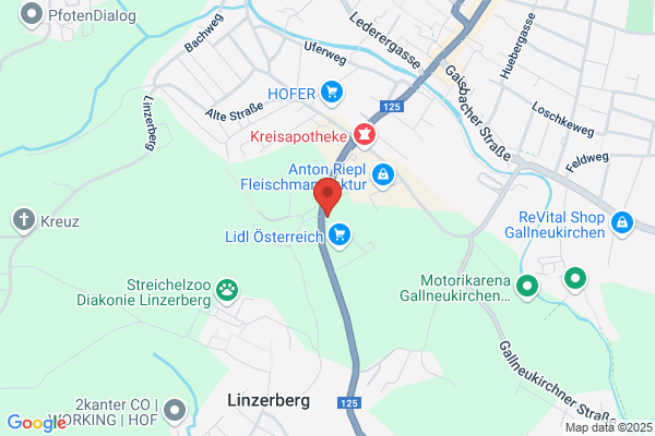 Wuerstel-Pub MAMPFI