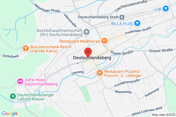 Pinet.at - Plattform f Info Netzwerke