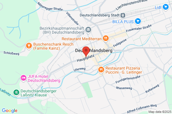 Freiheitliche Partei Oesterreichs (FPOe)