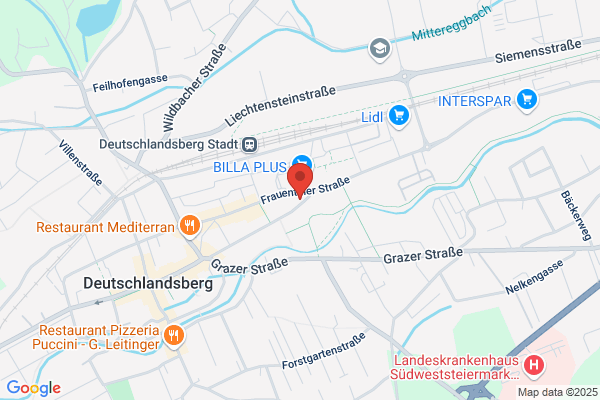 Wiener Staedtische Wechsels. Versicherungsanstalt