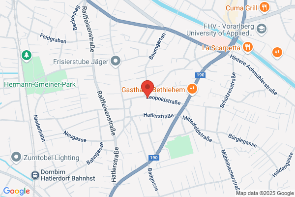 Wohlgenannt Eugen Bmstr Ing