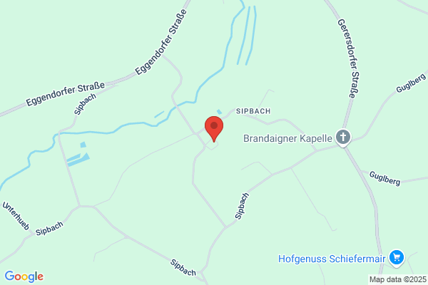 Franz Schachner-Nedherer