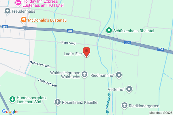 Ludwig Hofer