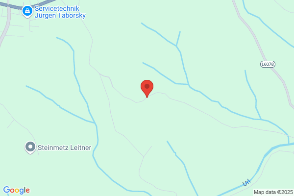 Litzellachner Horst GesmbH