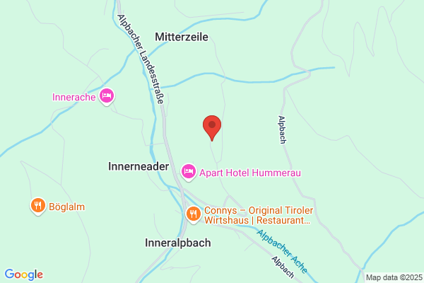Schneider Alfred - Gipsbau