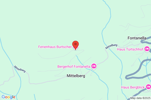 Ferdi Burtscher