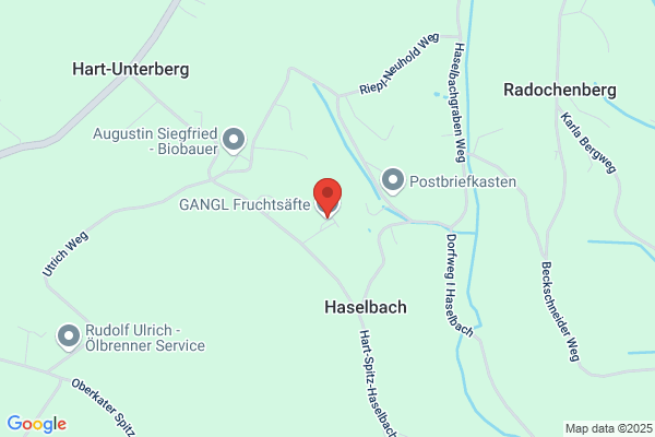 Gangl Josef