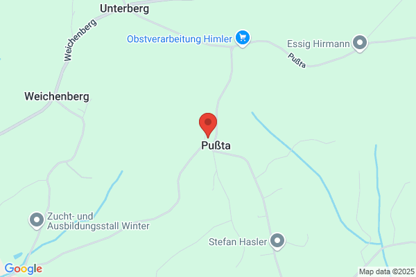 Karl Pfingstl