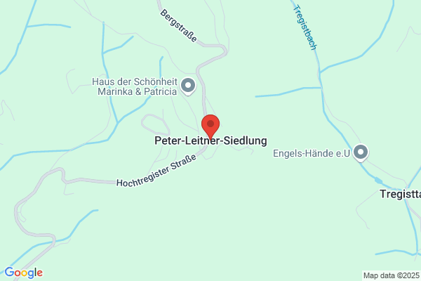 Peter Leitner