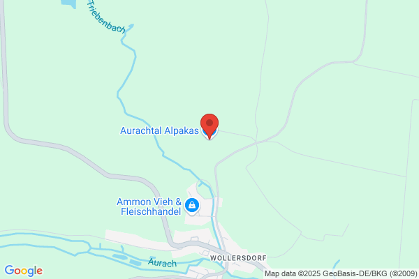 Pöllauertal Alpakas