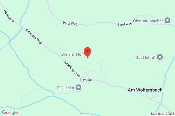Breisler GesmbH