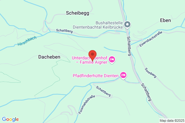 Skiklub Dienten Sepp Portenkirchner