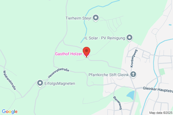 Gasthof Holzer Inh. Maria Reitzenberger