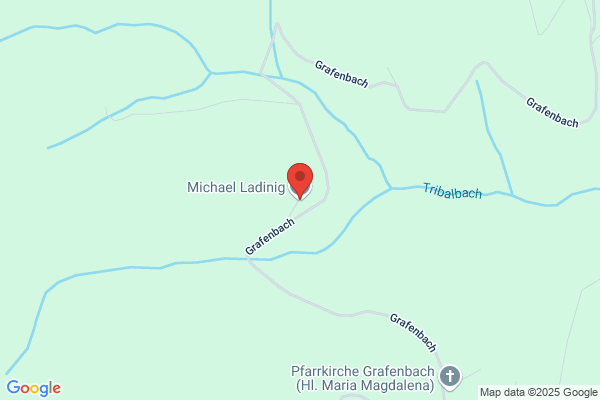 Michael Ladinig