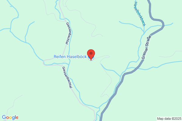 Reifen Haselboeck