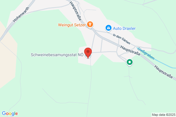 NOe - Schweinebesamungs und Genetiktransfer GmbH