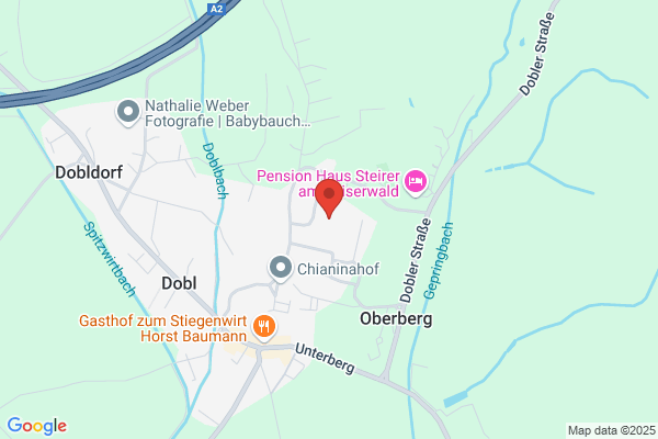 Steiermark 1 TV Programm- ges.mbH