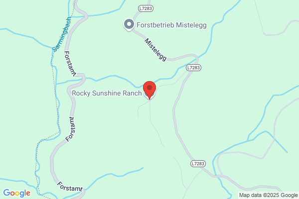 Rocky Sunshine Ranch