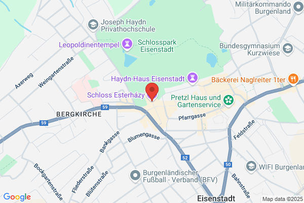 Fuerst Esterhazy'sche Privat- stiftung Schloss Eisenstadt