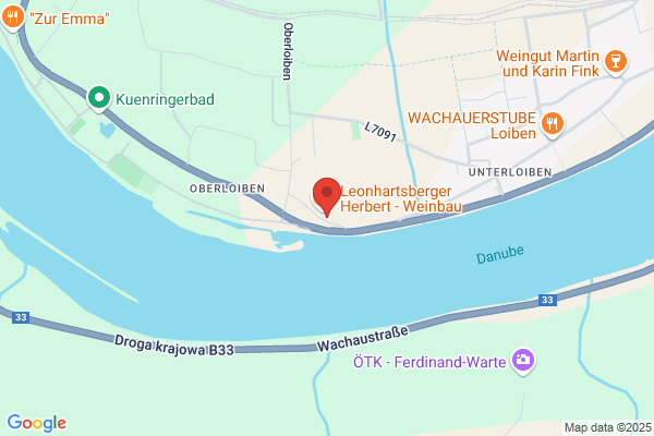 Brustbauer Karl Mag