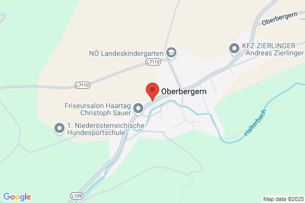 Gasthof- Pension z goldenen Hirschen