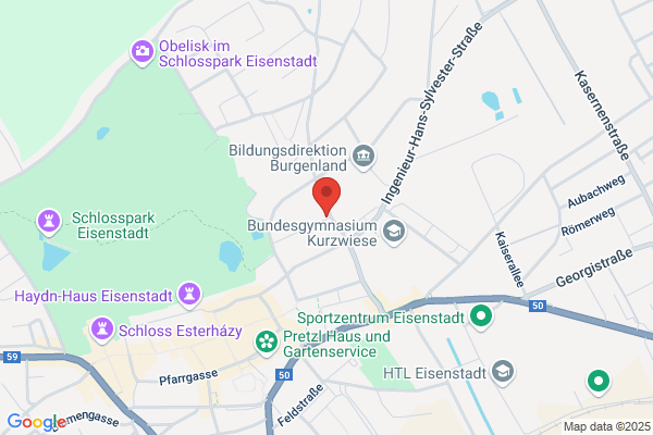 Ing. Friedrich Mostboeck