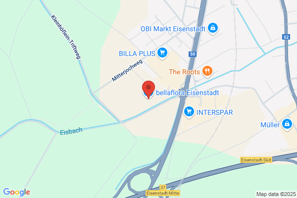 bellaflora Eisenstadt